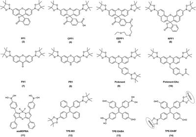 Boronate-Based Probes for Biological Oxidants: A Novel Class of Molecular Tools for Redox Biology